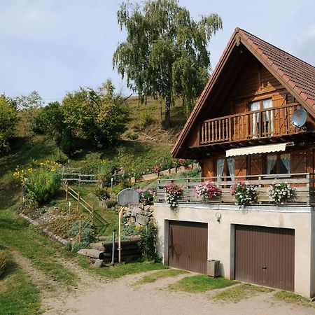 Chalet-Gite Berbuche Sainte-Croix-aux-Mines 외부 사진