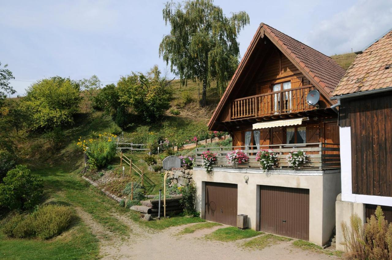 Chalet-Gite Berbuche Sainte-Croix-aux-Mines 외부 사진