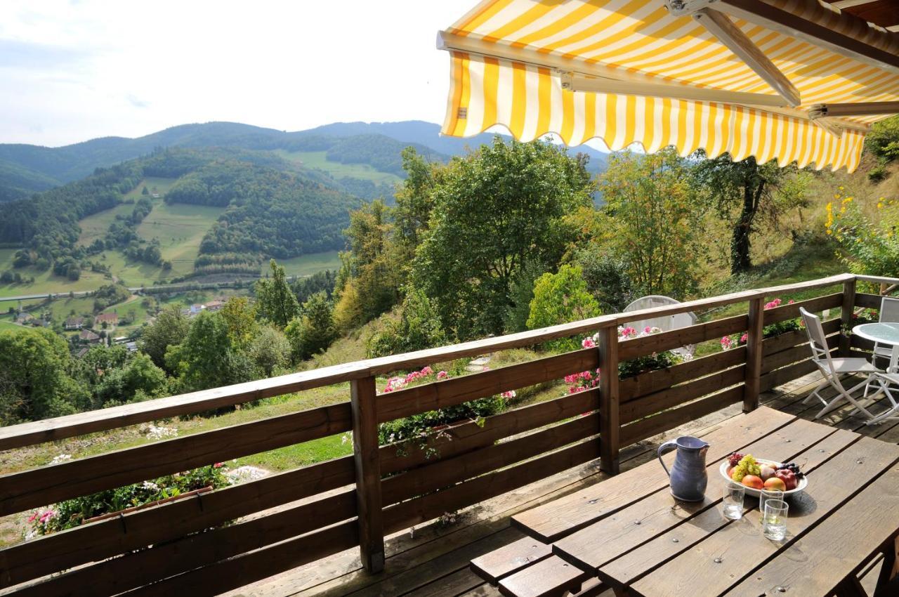 Chalet-Gite Berbuche Sainte-Croix-aux-Mines 외부 사진
