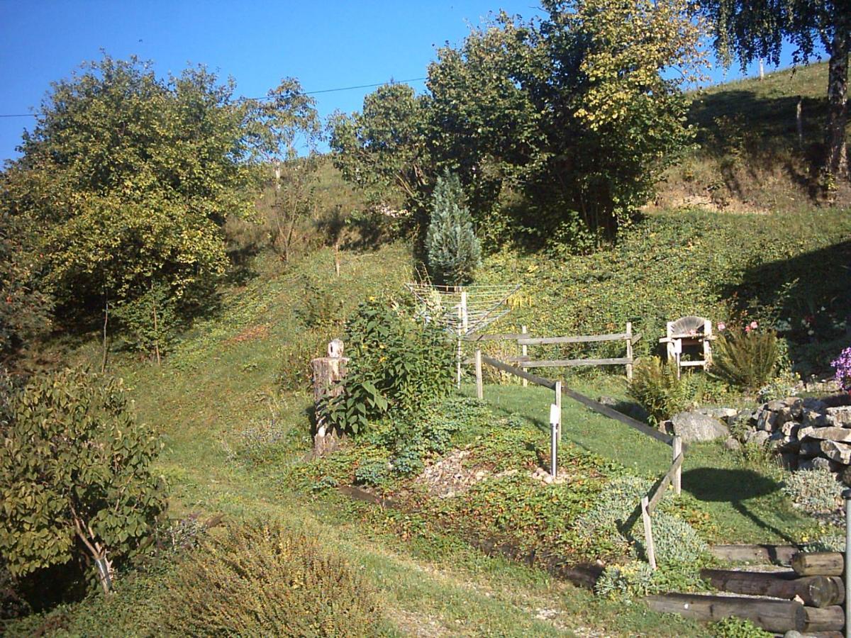 Chalet-Gite Berbuche Sainte-Croix-aux-Mines 외부 사진