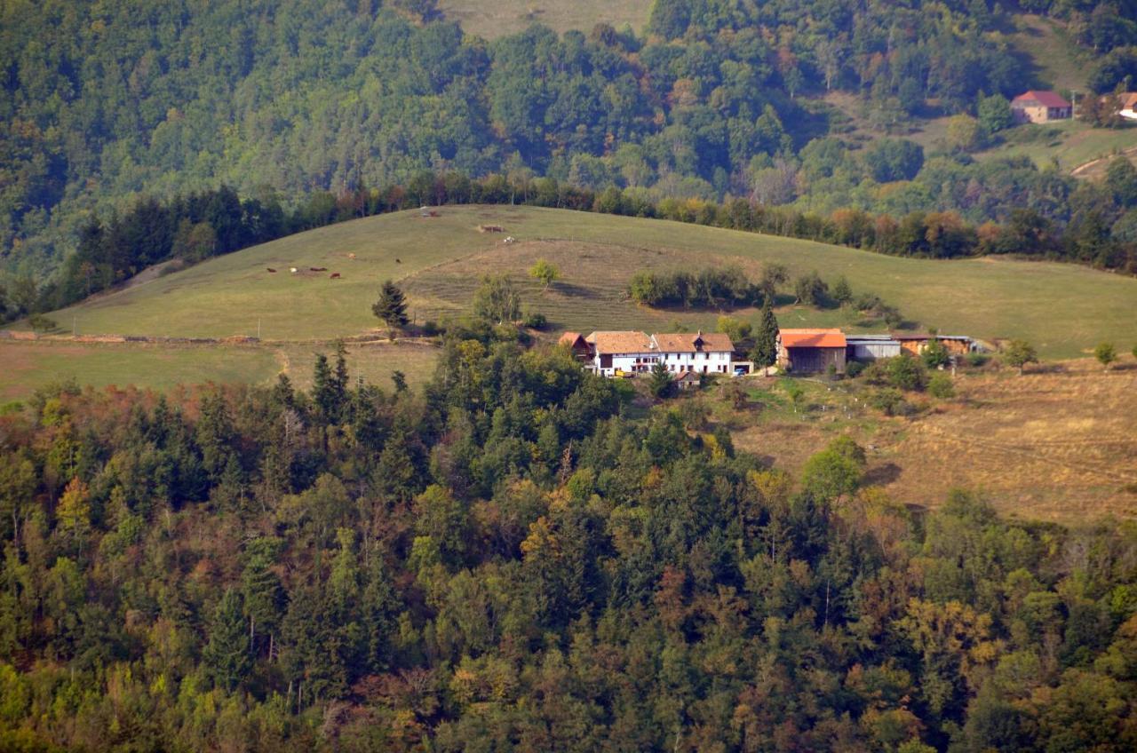 Chalet-Gite Berbuche Sainte-Croix-aux-Mines 외부 사진
